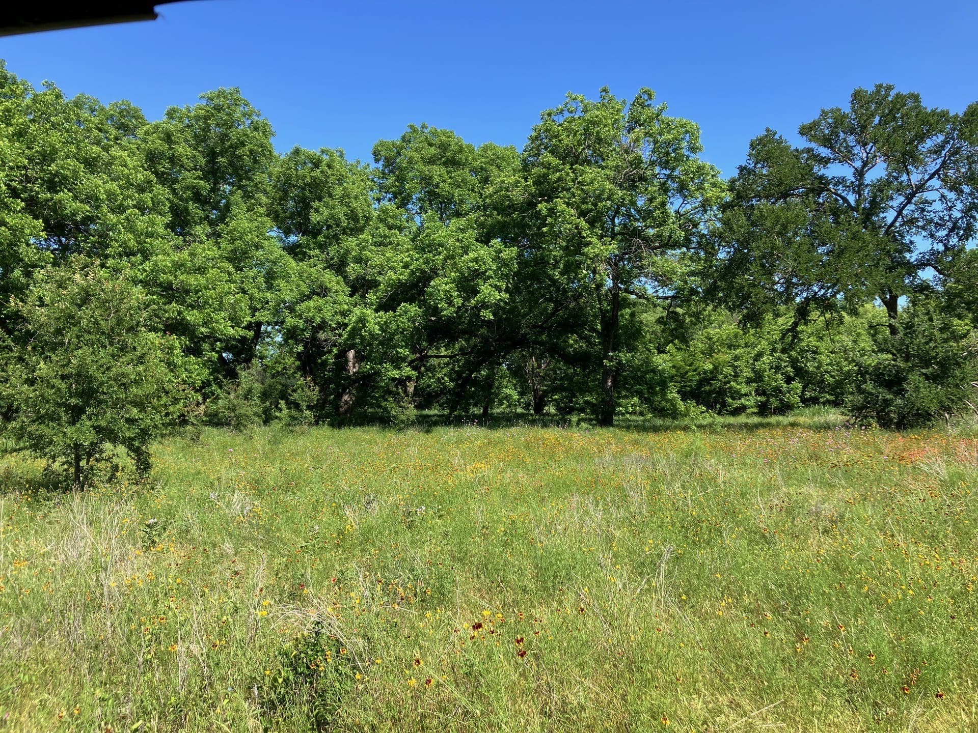 92.2 acres in Comanche County - photo 27