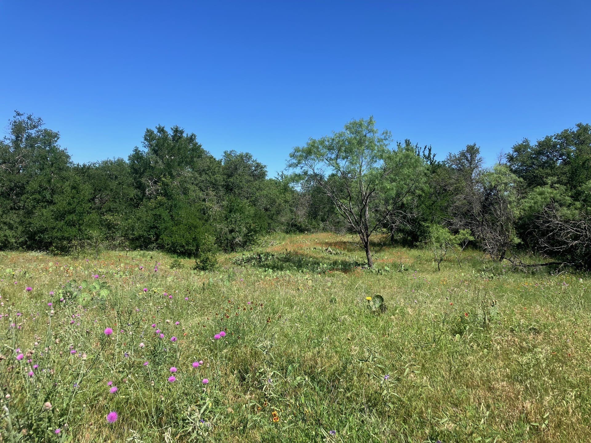 92.2 acres in Comanche County - photo 34