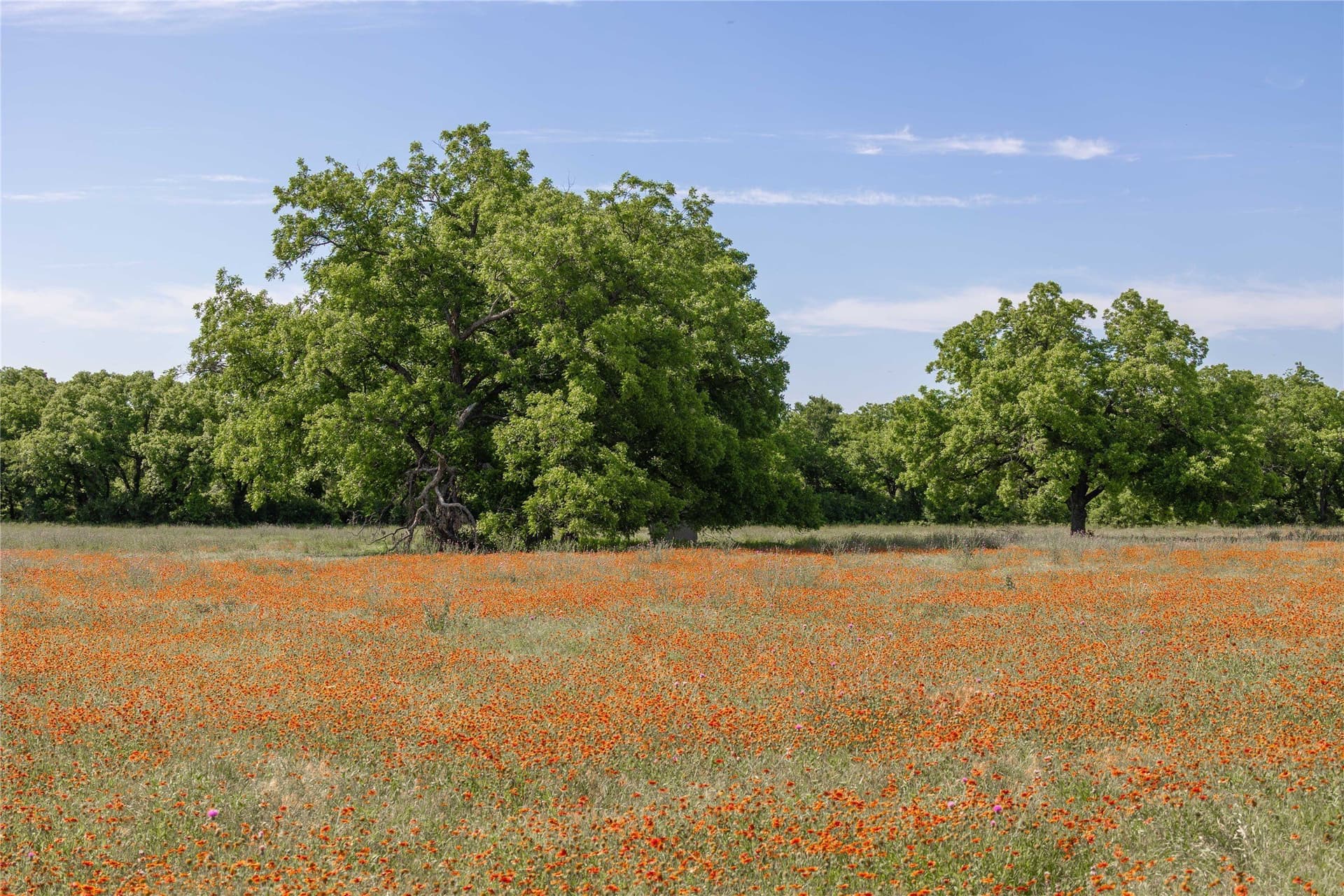92.2 acres in Comanche County - photo 20