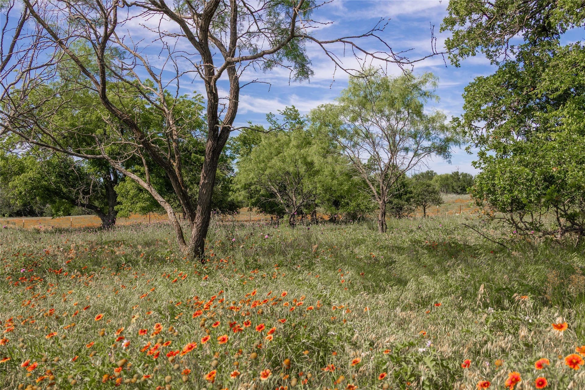 92.2 acres in Comanche County - photo 18
