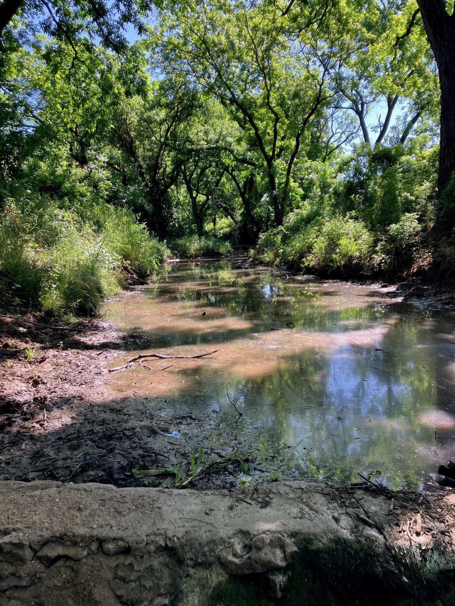 92.2 acres in Comanche County - photo 28