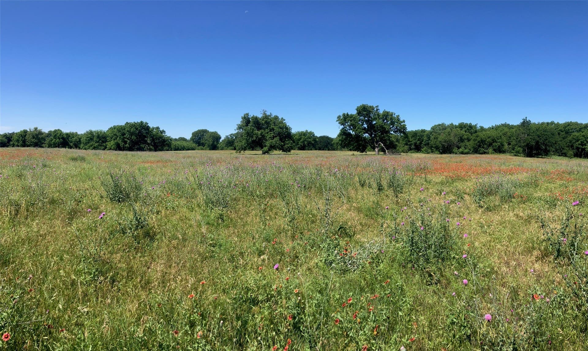 92.2 acres in Comanche County - photo 35