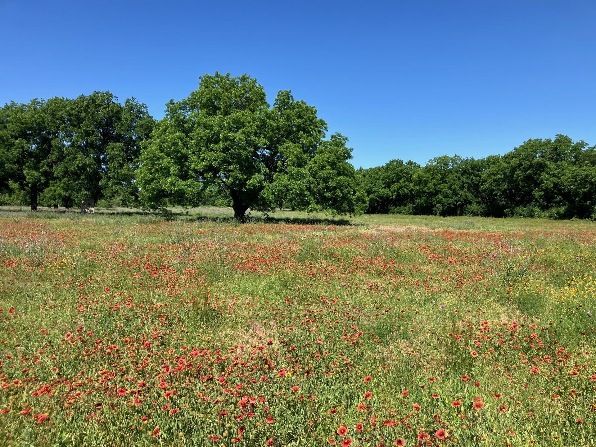92.2 acres in Comanche County - photo 30