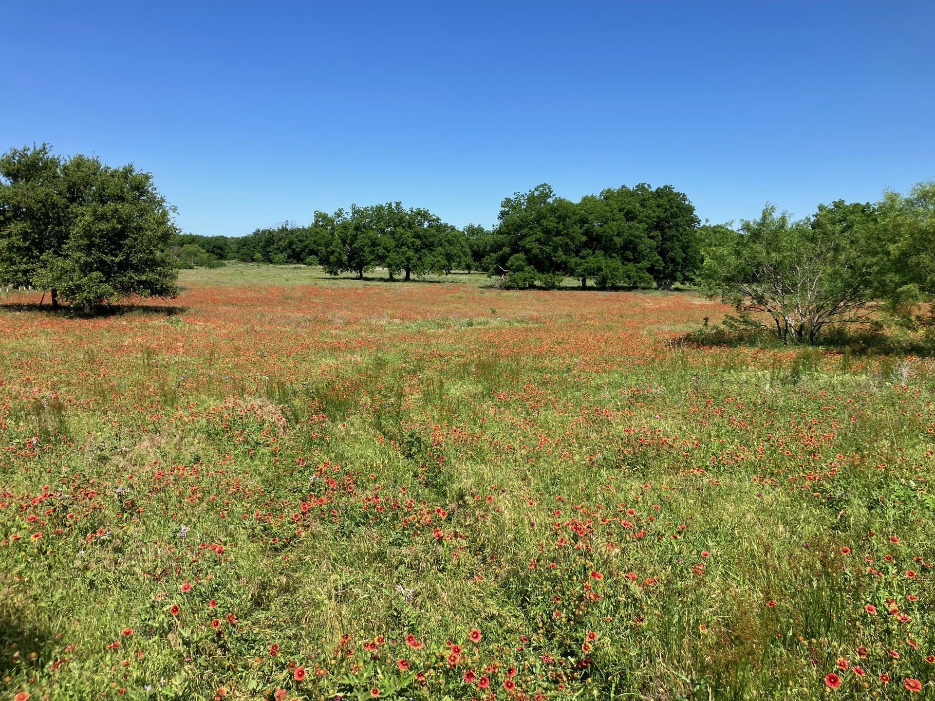92.2 acres in Comanche County - photo 31