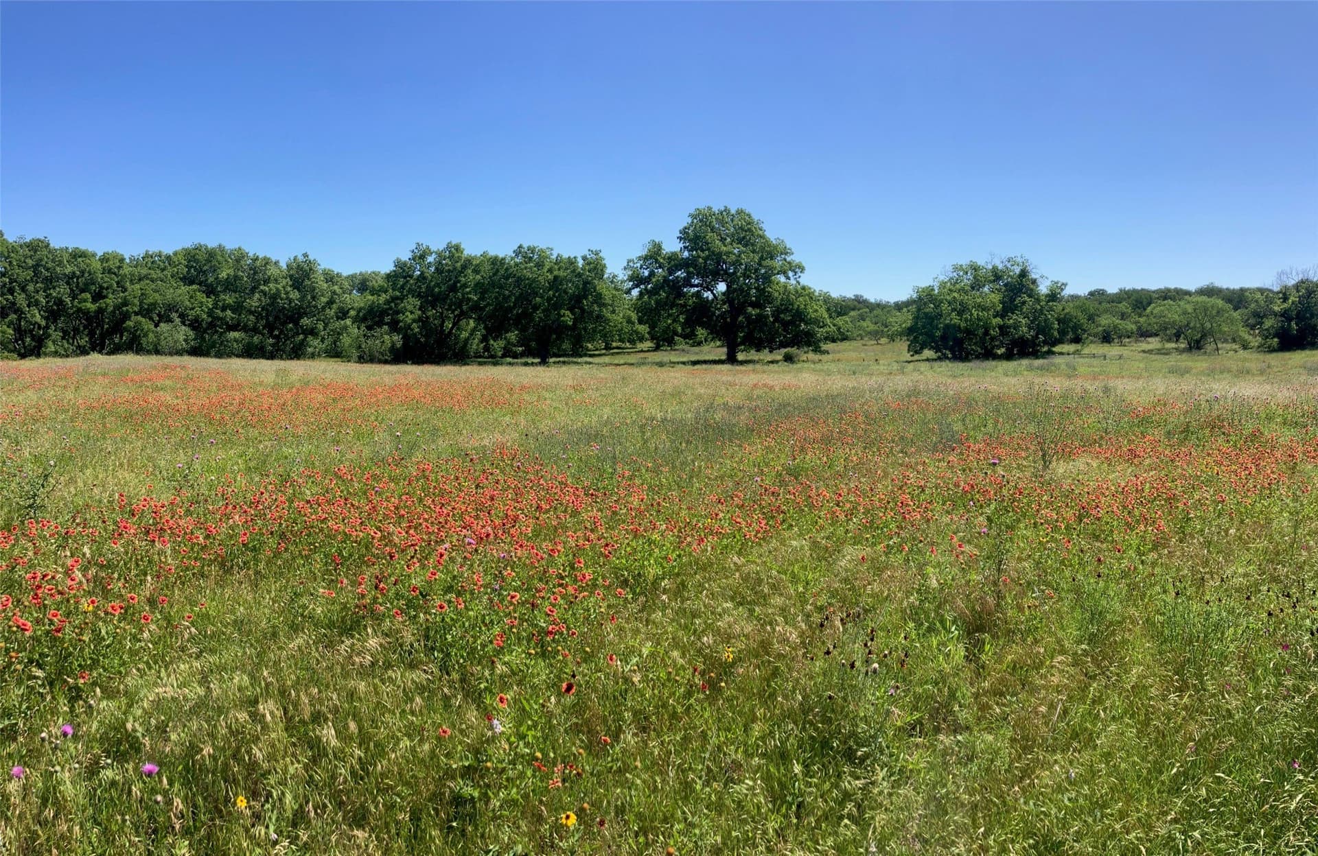 92.2 acres in Comanche County - photo 36