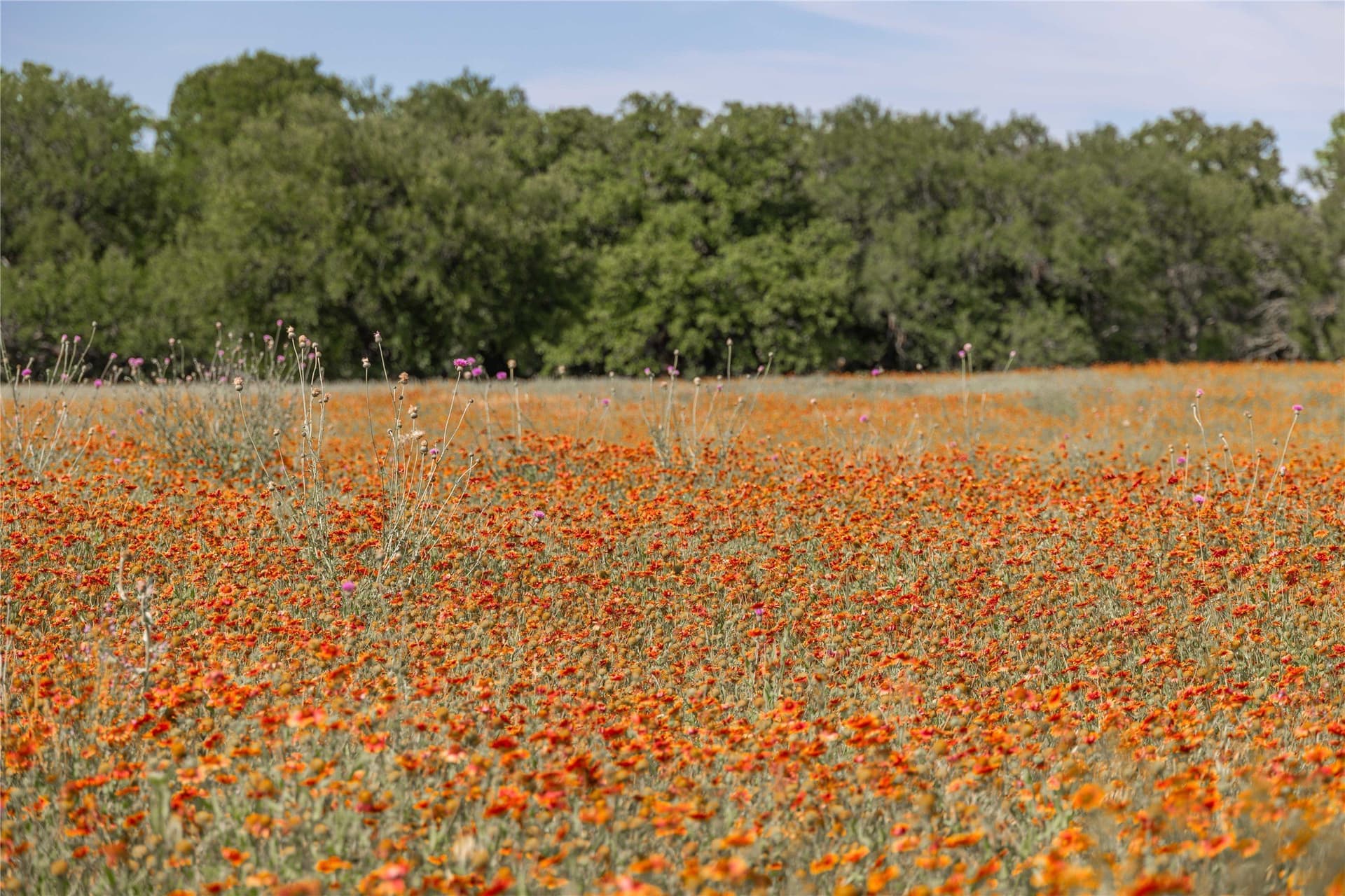92.2 acres in Comanche County - photo 21