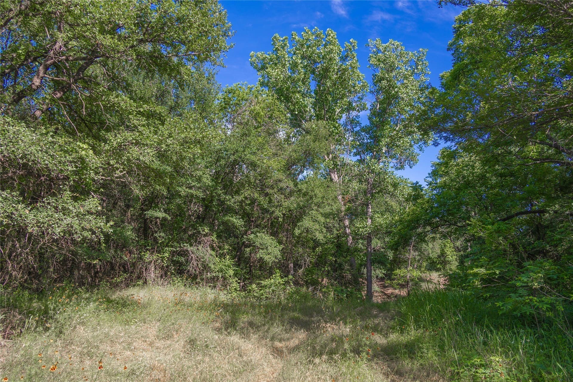 92.2 acres in Comanche County - photo 25