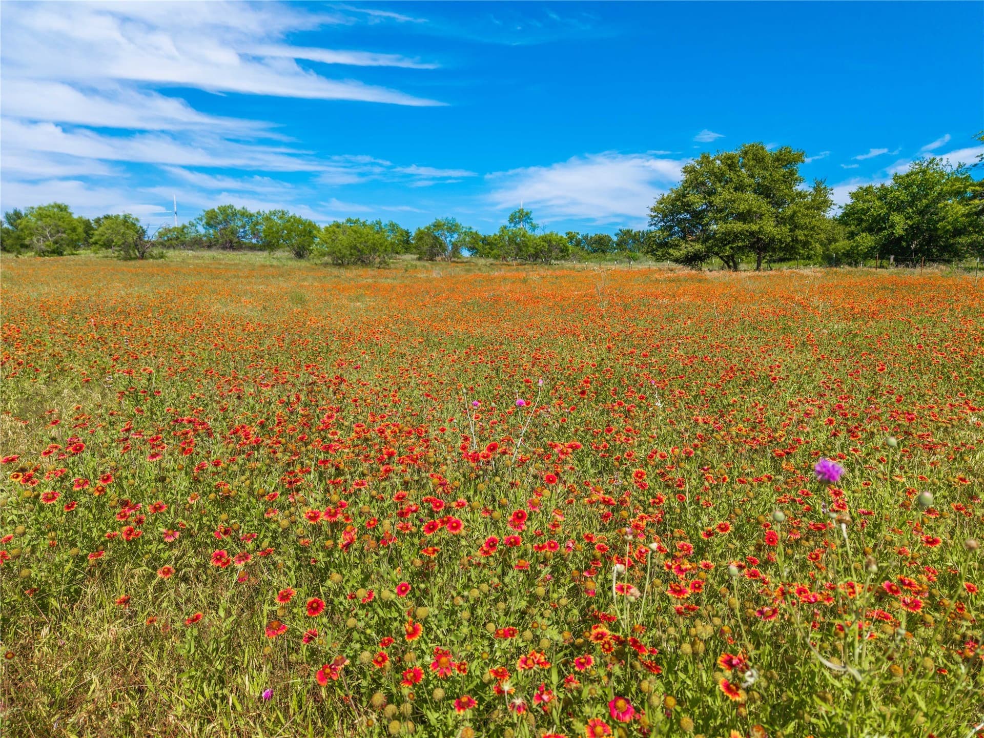 92.2 acres in Comanche County - photo 7