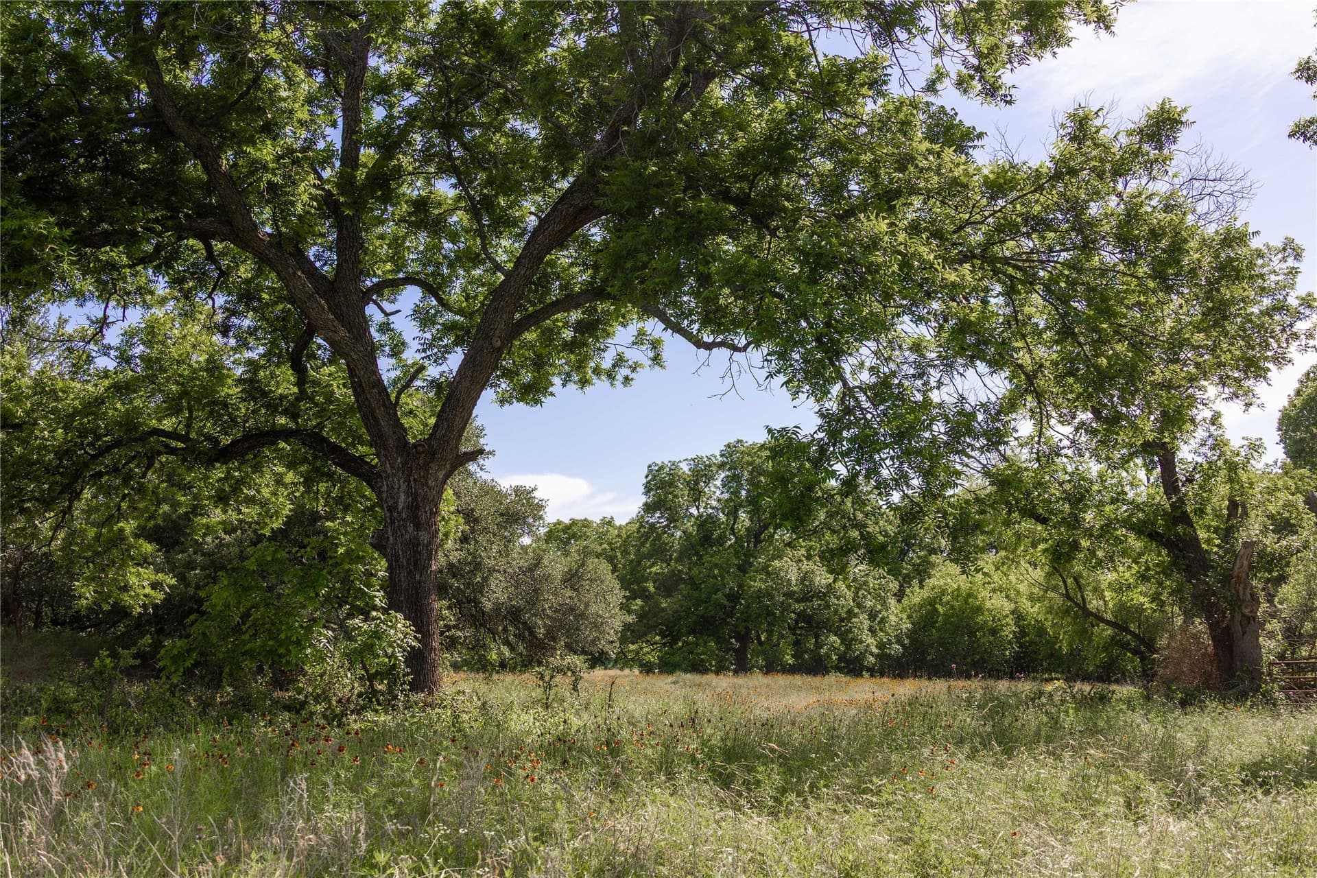 92.2 acres in Comanche County - photo 17