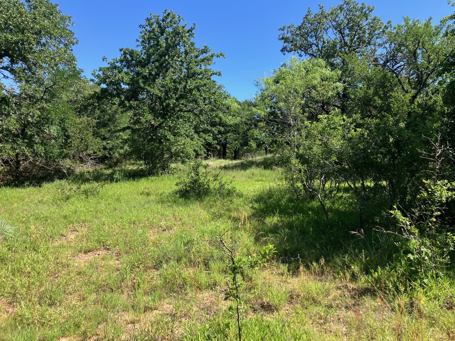 92.2 acres in Comanche County - photo 33
