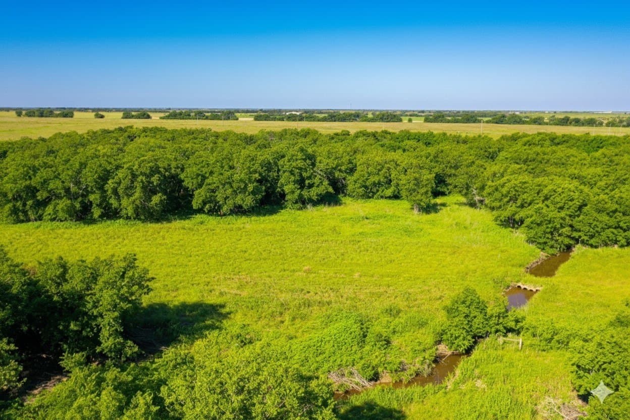 10.01 acres in Hill County gallery image 2