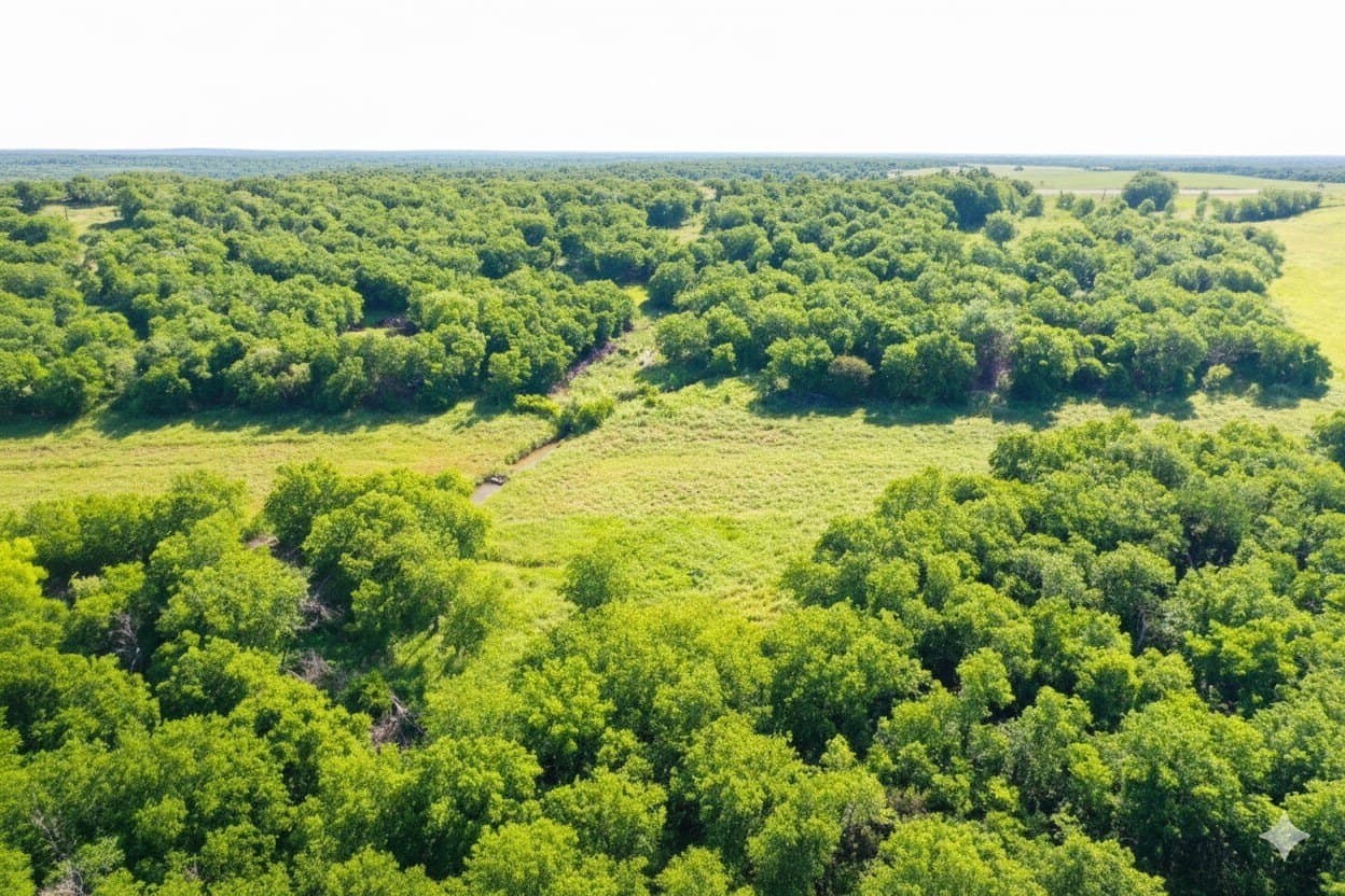 10.01 acres in Hill County