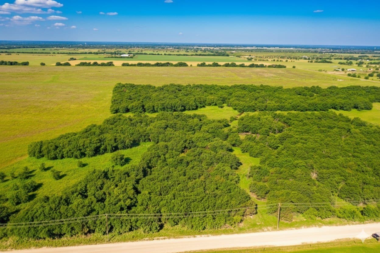 10.01 acres in Hill County gallery image 4