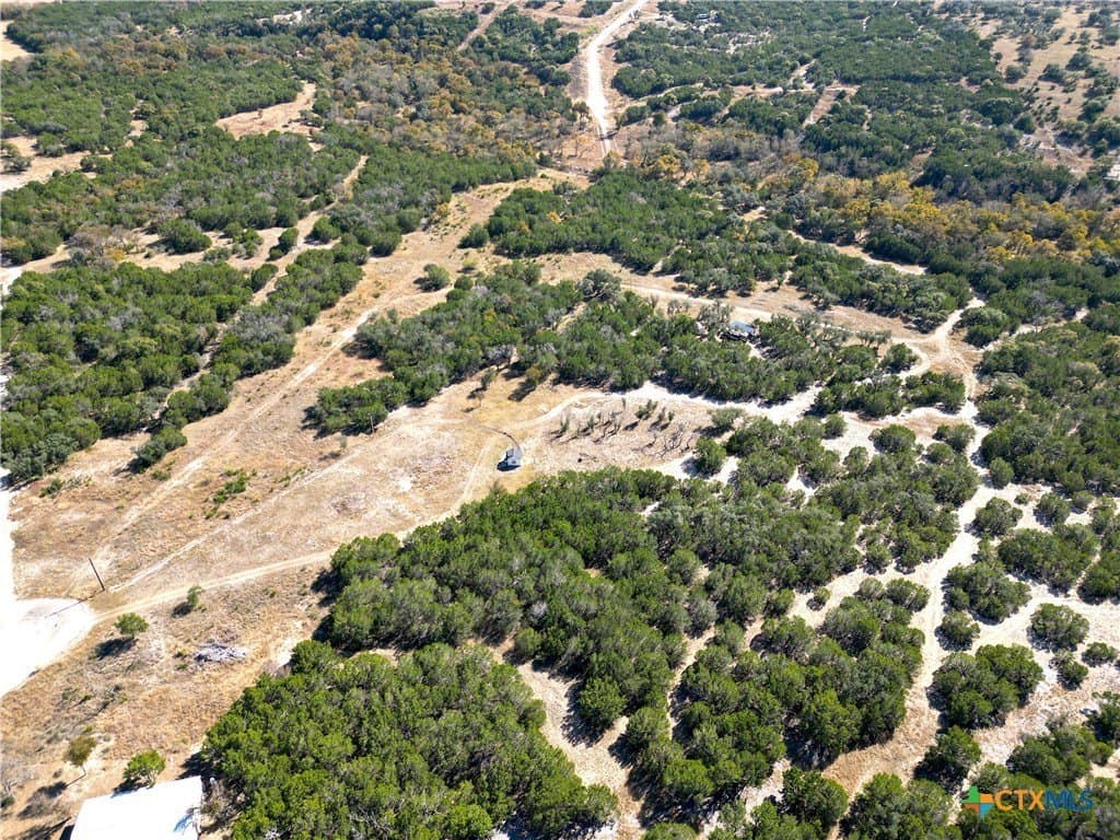 12.73 acres in Bell County gallery image 4