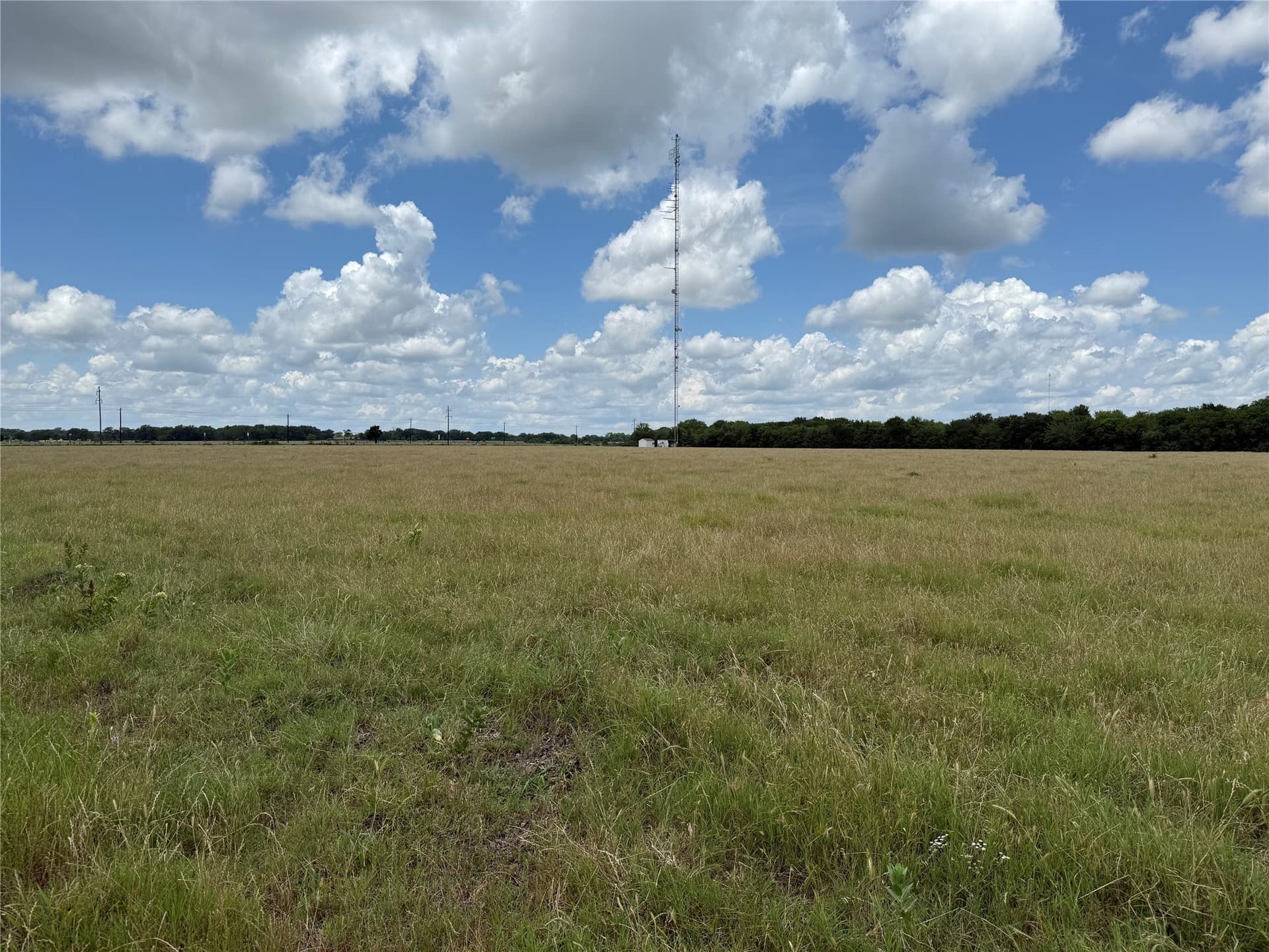103.1 acres in Grayson County - photo 20