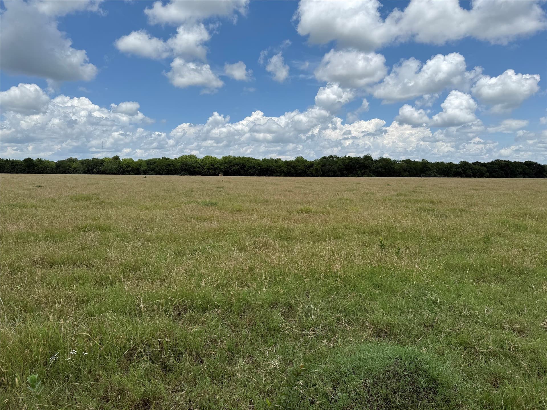 103.1 acres in Grayson County - photo 21