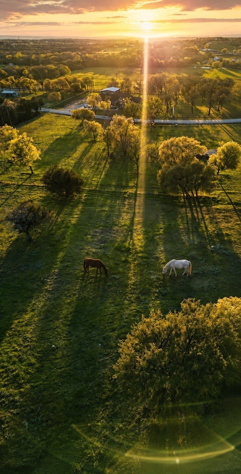 3.56 acres in Parker County - photo 5