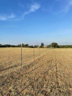 40.5 acres in Parker County - photo 12
