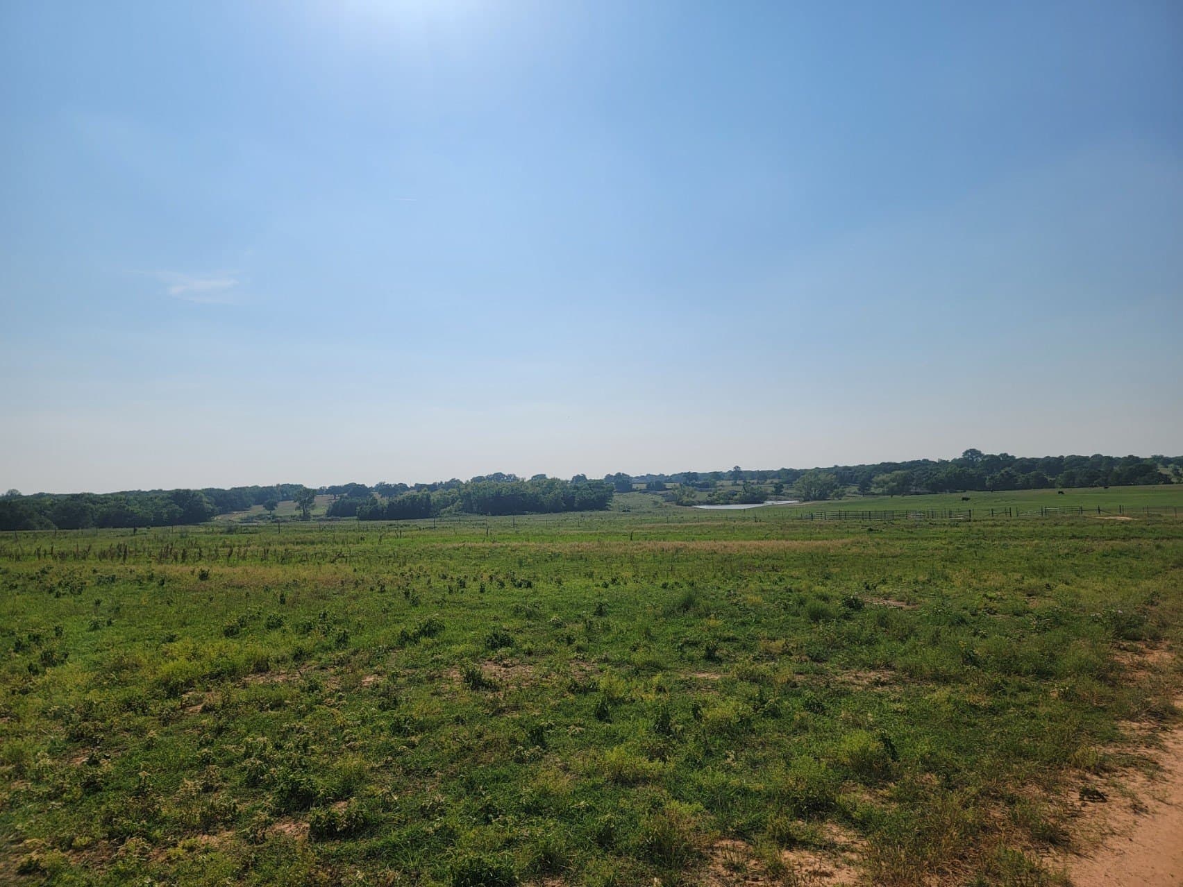40.5 acres in Parker County - photo 18