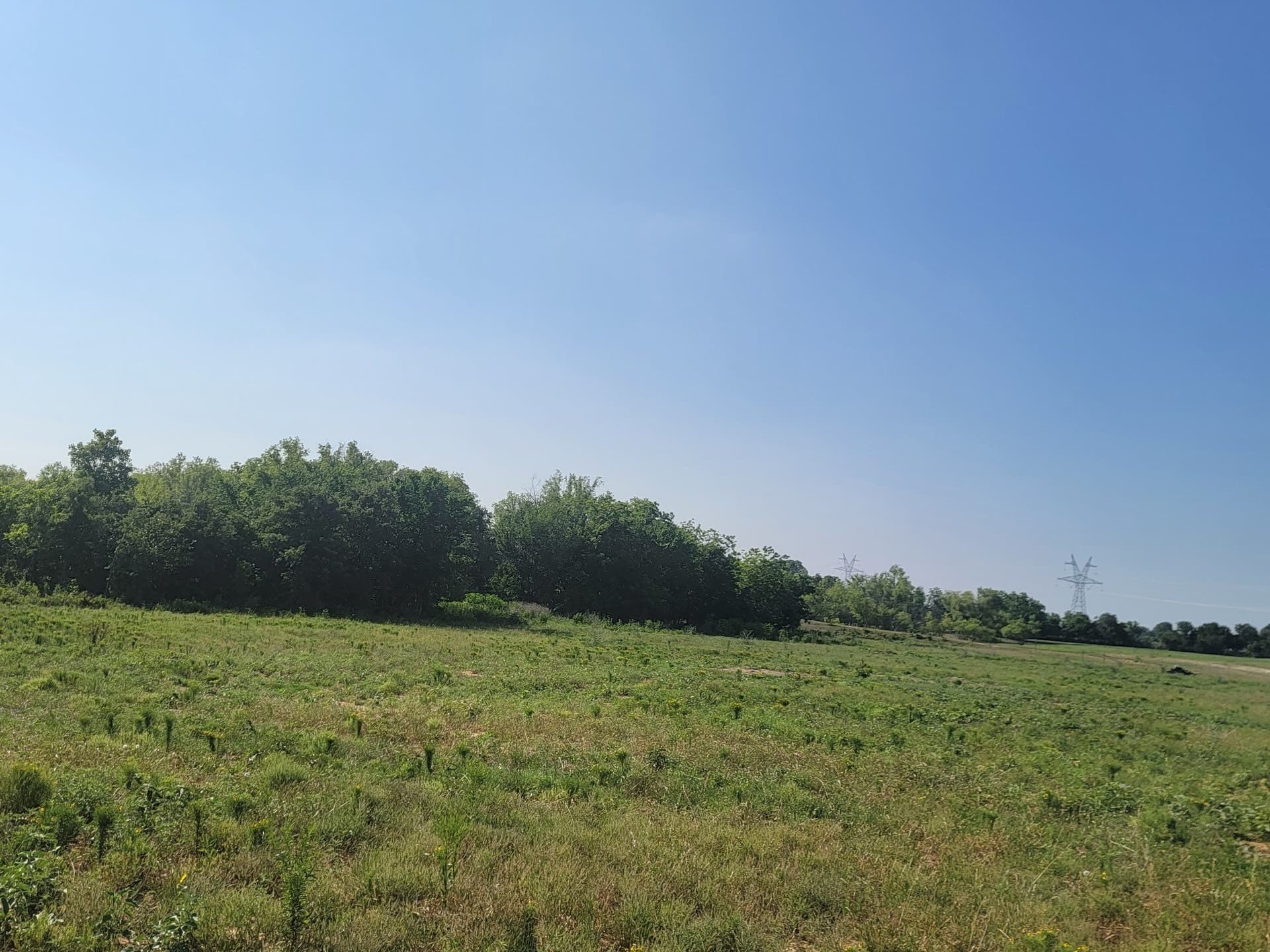 40.5 acres in Parker County - photo 23
