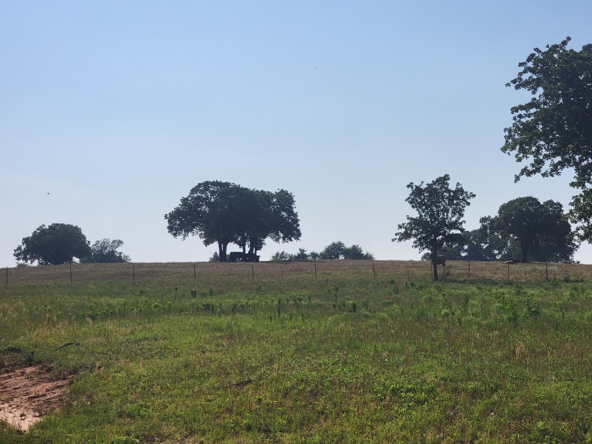 40.5 acres in Parker County - photo 21