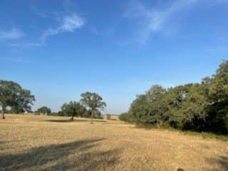 40.5 acres in Parker County - photo 13