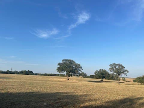 40.5 acres in Parker County - photo 15