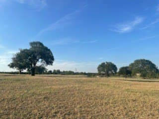 40.5 acres in Parker County - photo 11