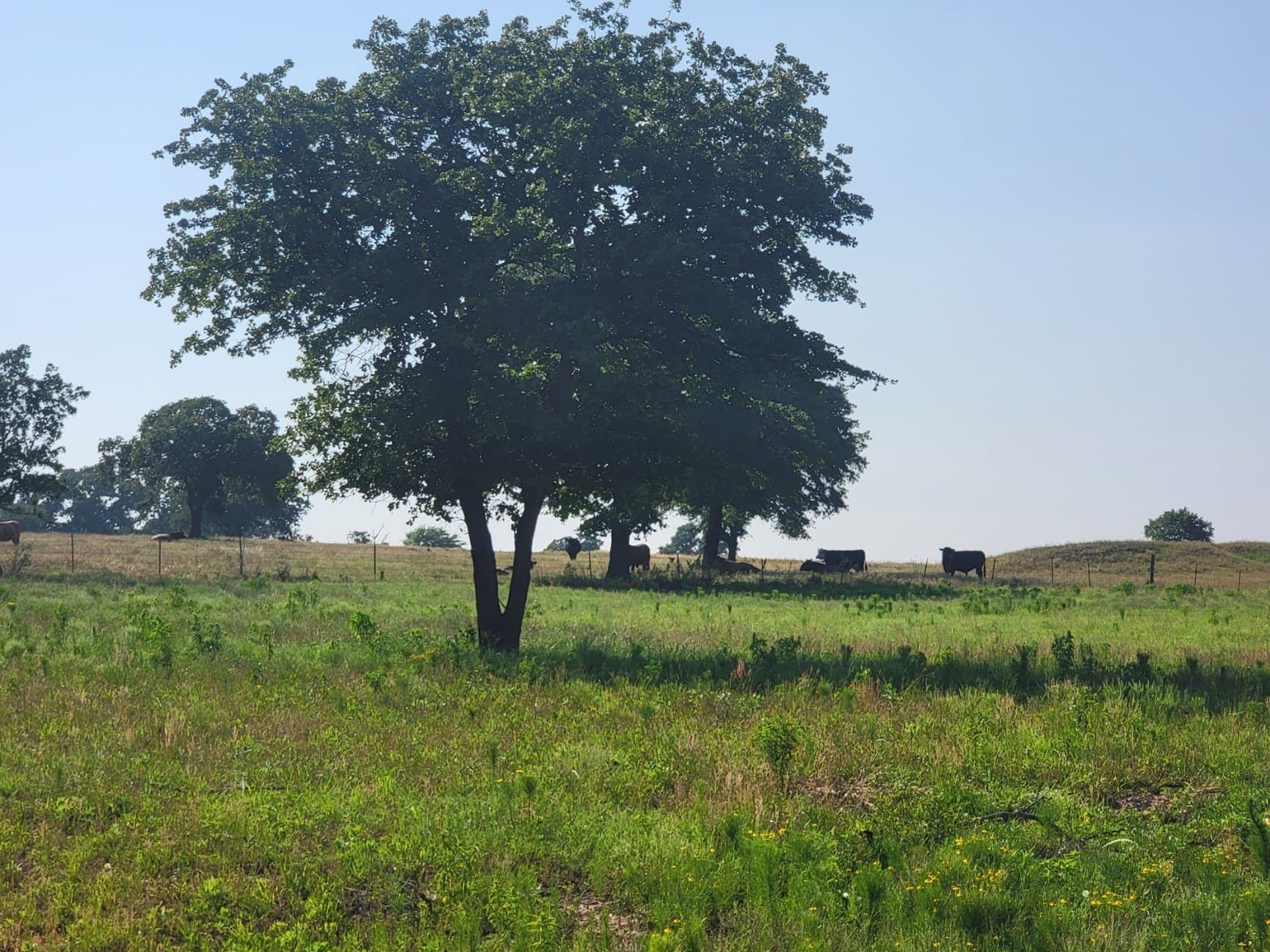 40.5 acres in Parker County - photo 20