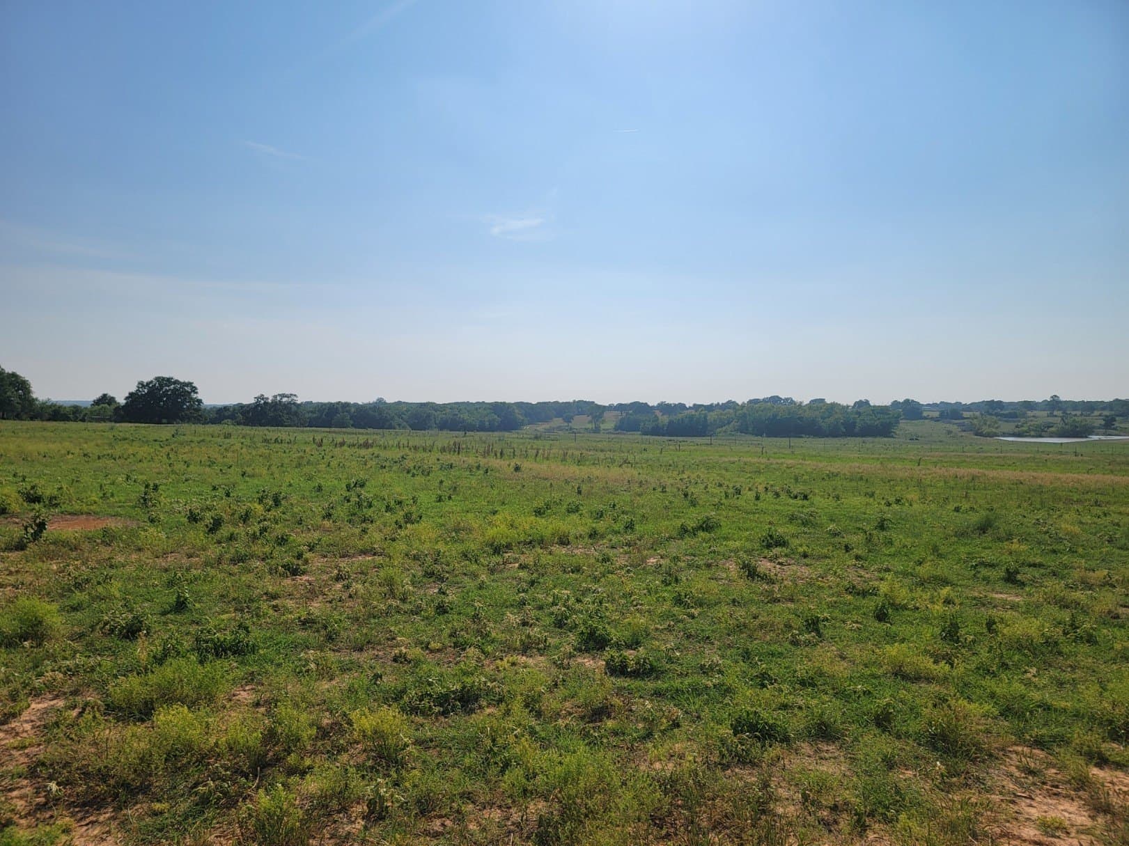 40.5 acres in Parker County - photo 16