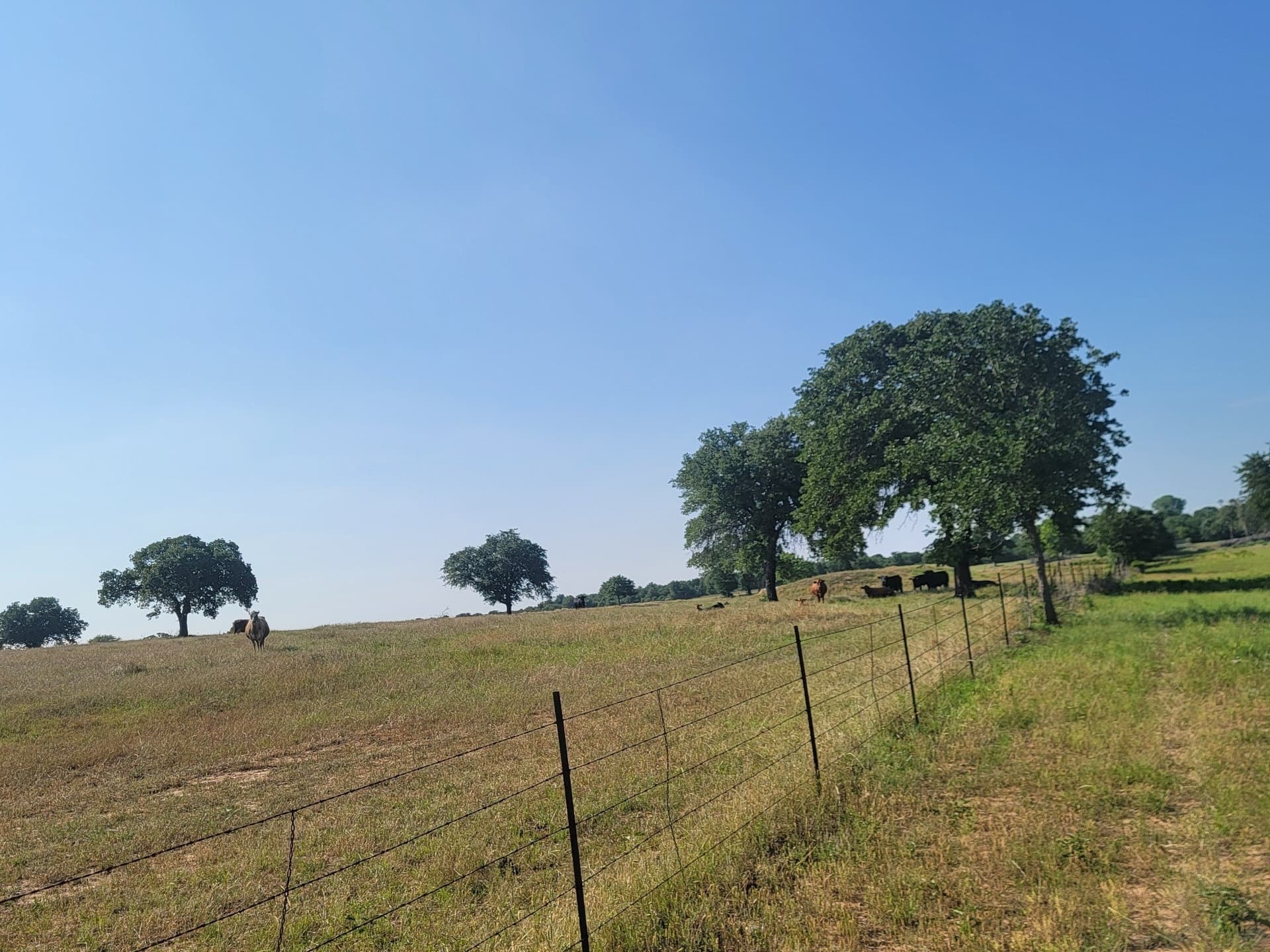 40.5 acres in Parker County - photo 22