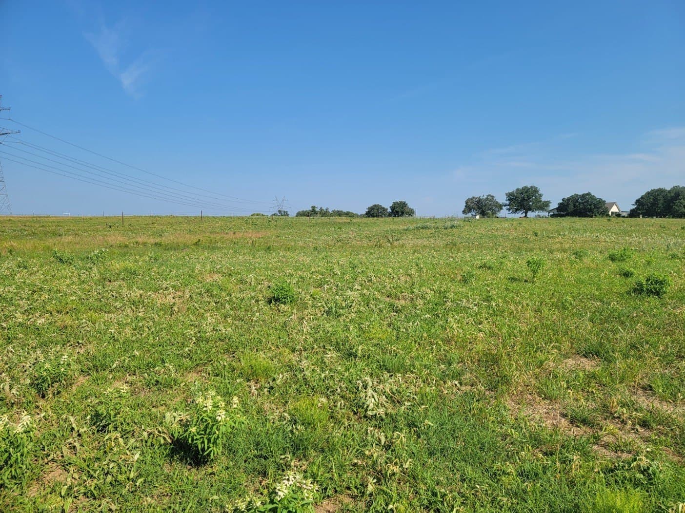 40.5 acres in Parker County - photo 19