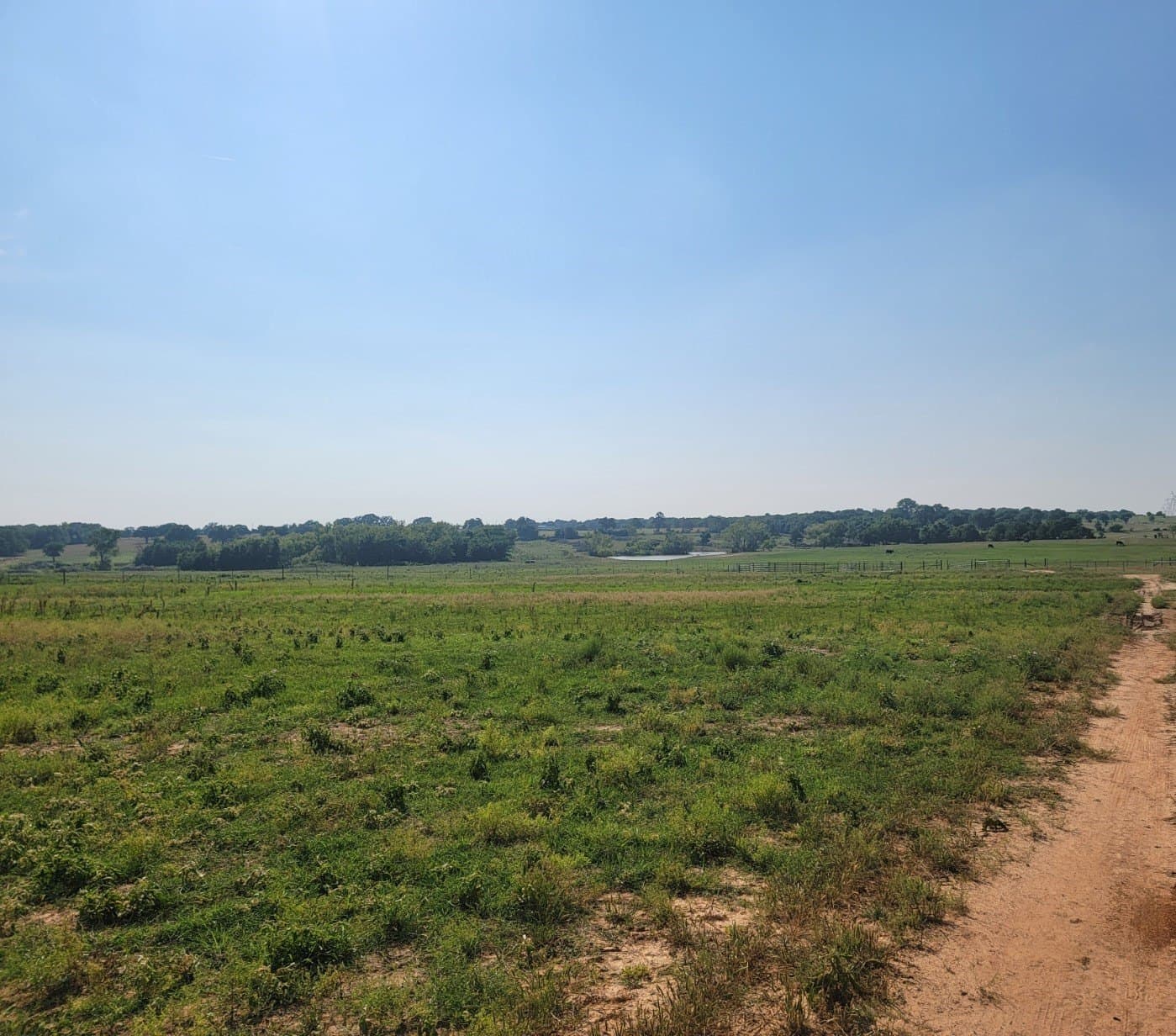 40.5 acres in Parker County - photo 17