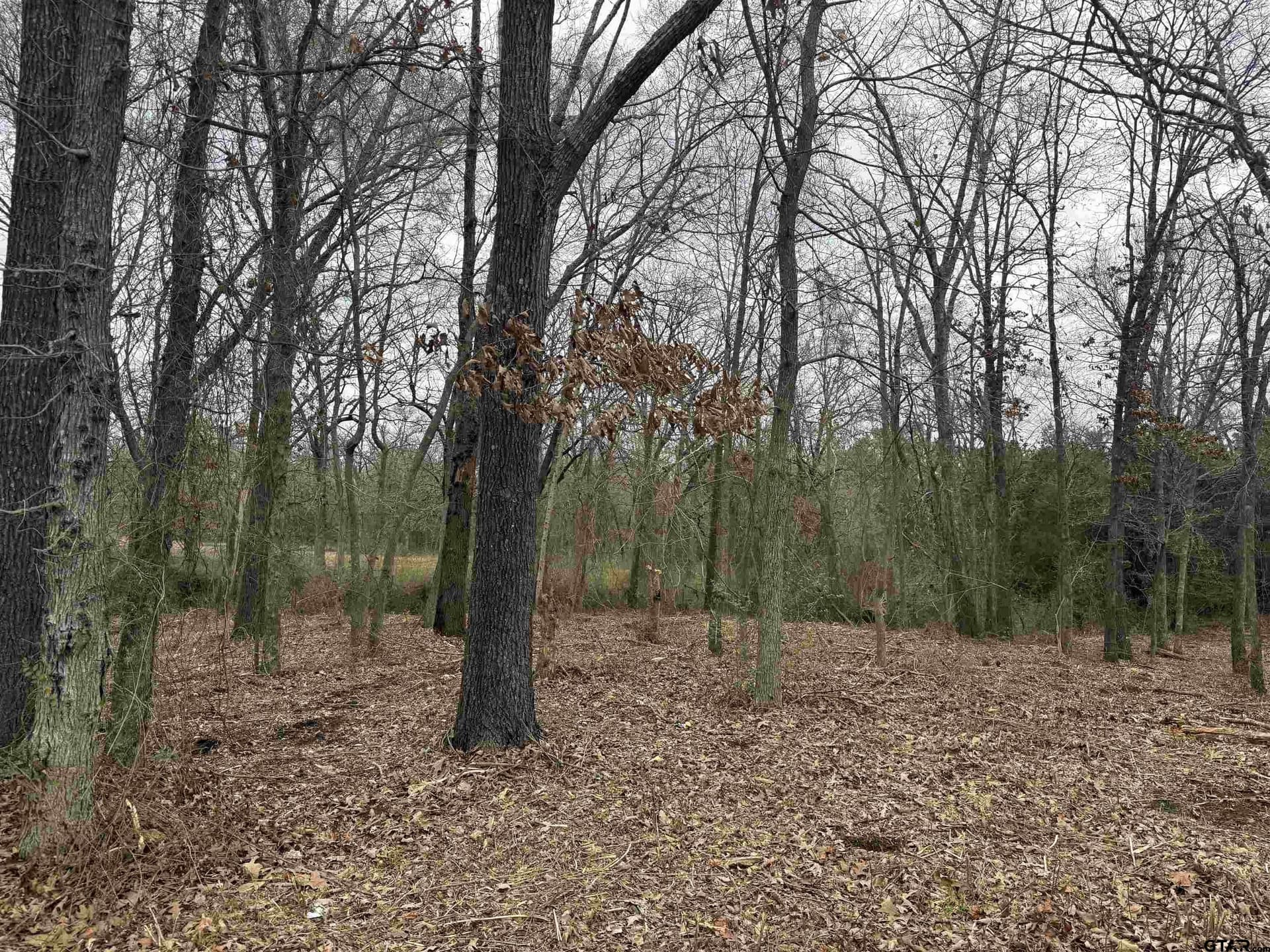 0.25 acres in Van Zandt County