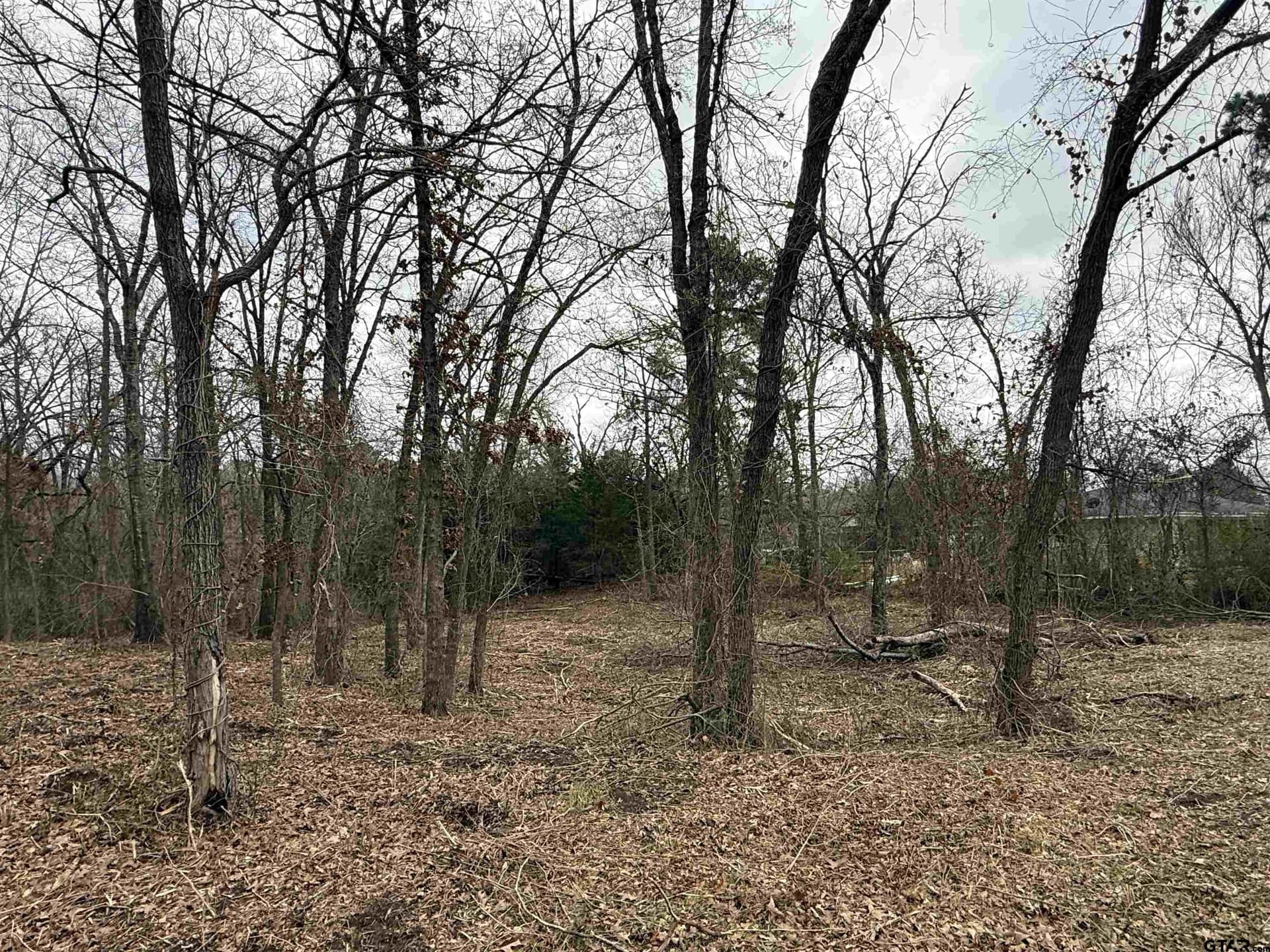 0.25 acres in Van Zandt County gallery image 2