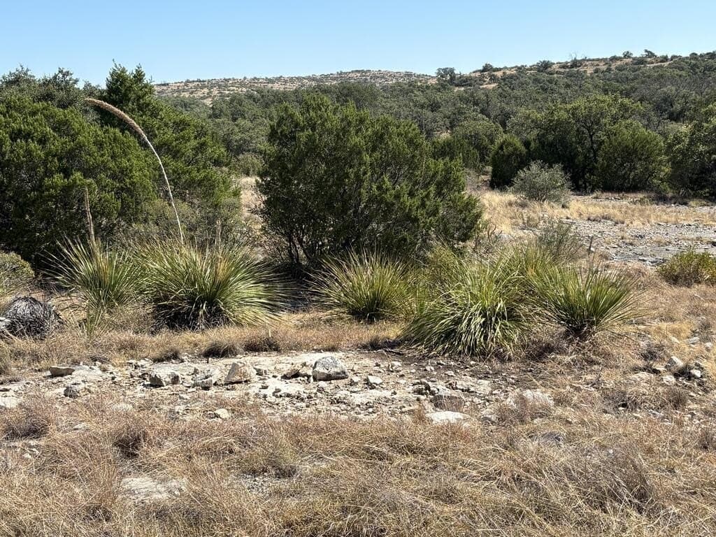 29.78 acres in Edwards County - photo 64