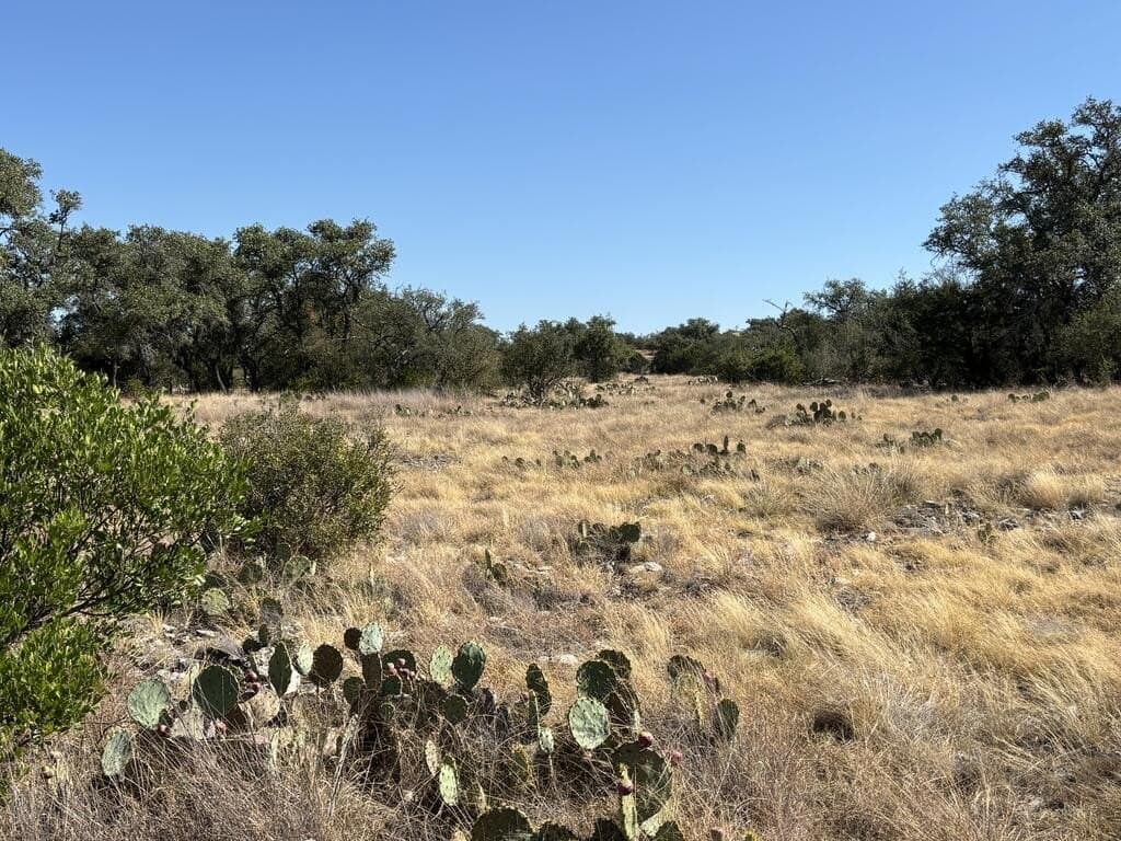29.78 acres in Edwards County - photo 42