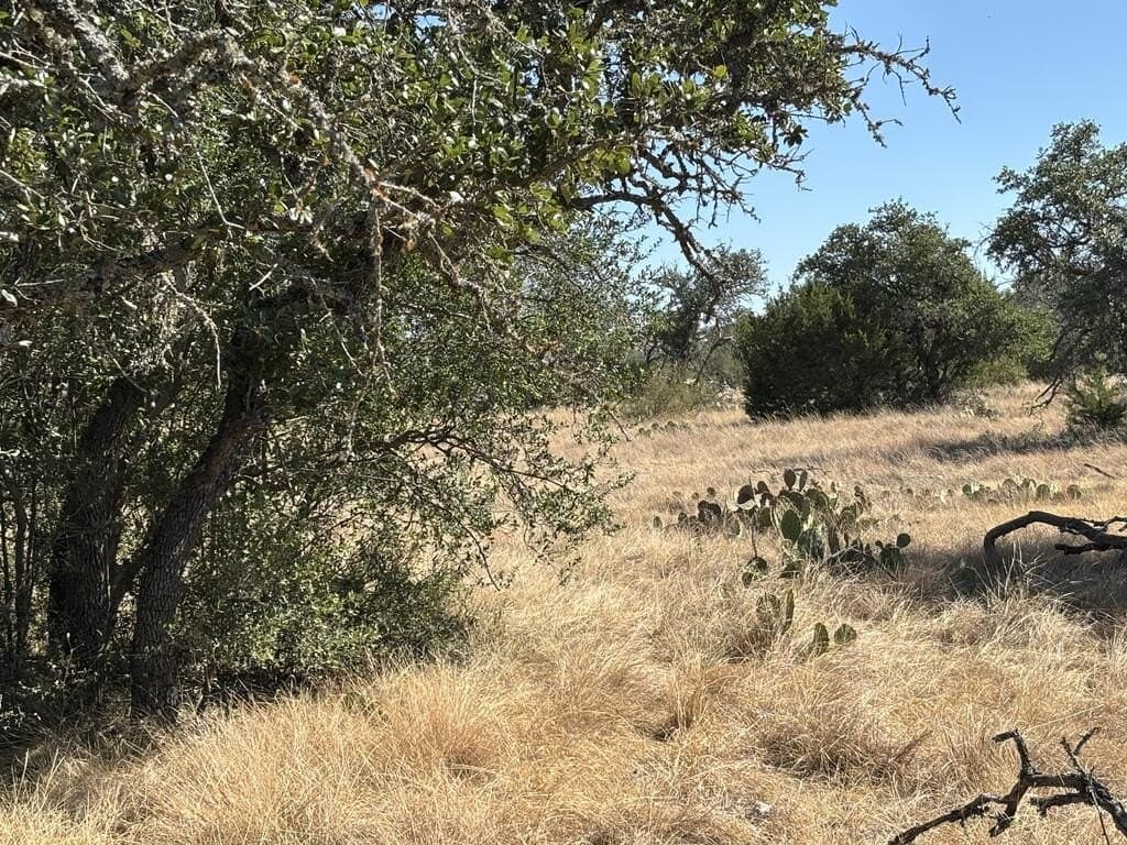 29.78 acres in Edwards County - photo 36