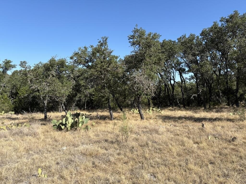 29.78 acres in Edwards County - photo 34