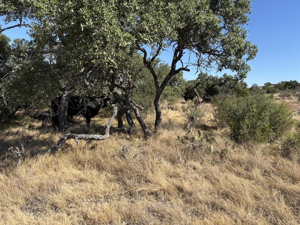 29.78 acres in Edwards County - photo 44