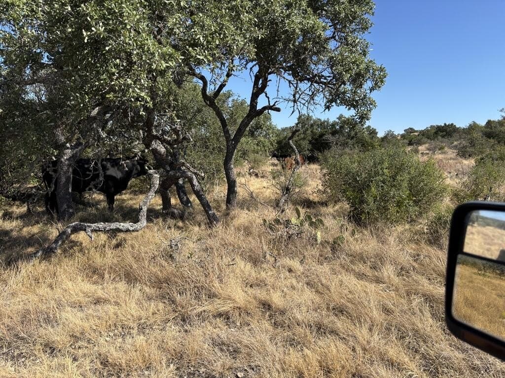 29.78 acres in Edwards County - photo 43