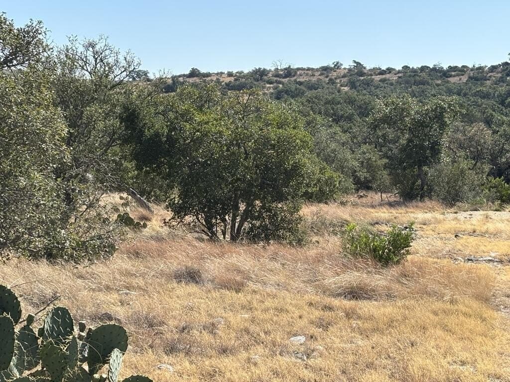 29.78 acres in Edwards County - photo 17