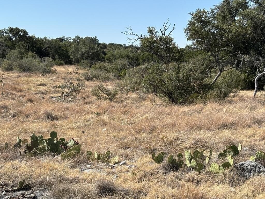 29.78 acres in Edwards County - photo 48