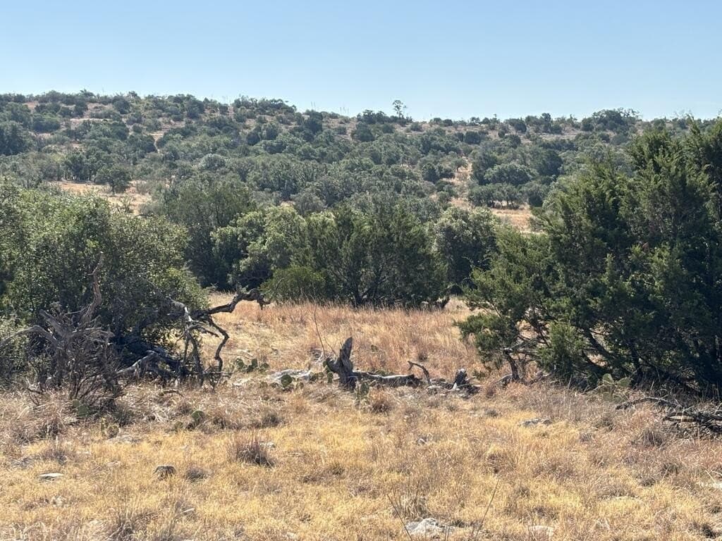 29.78 acres in Edwards County - photo 16