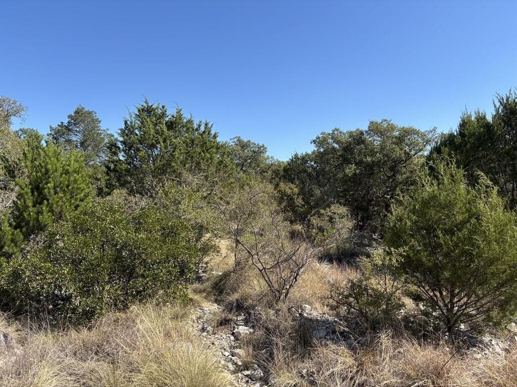 29.78 acres in Edwards County - photo 30