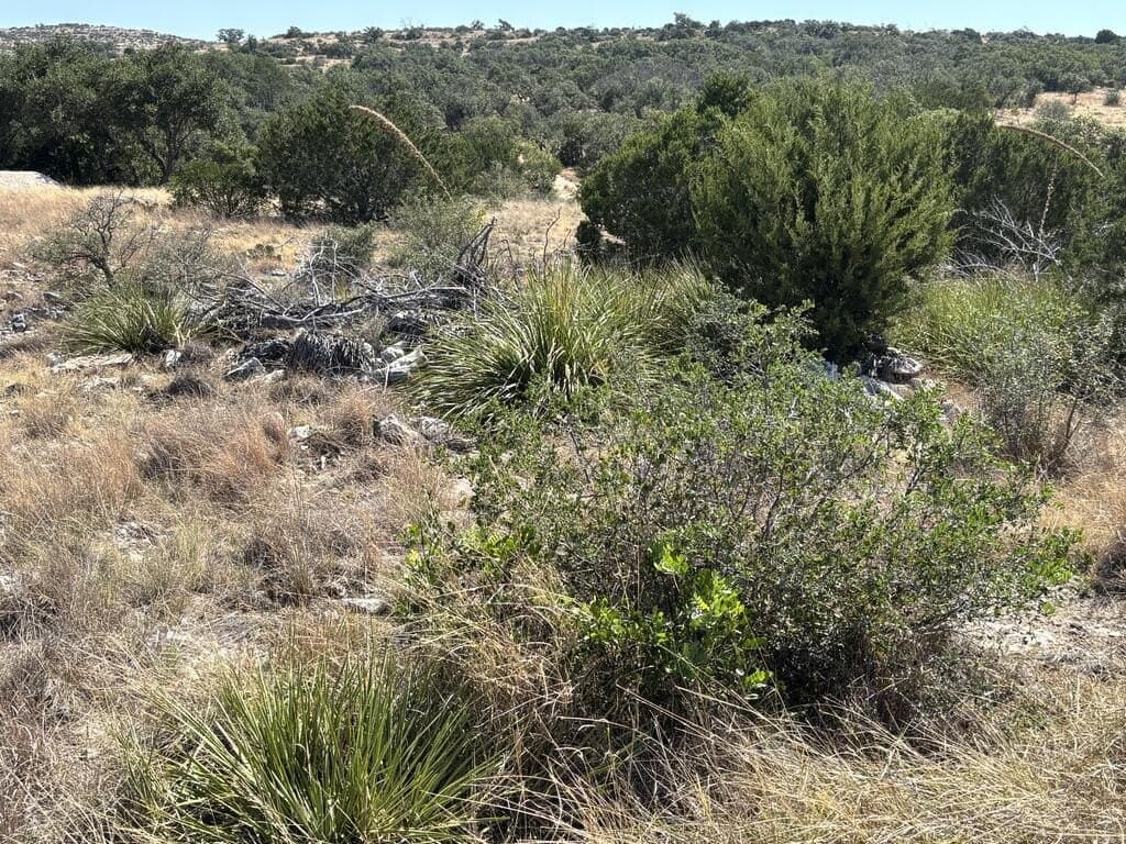29.78 acres in Edwards County - photo 63