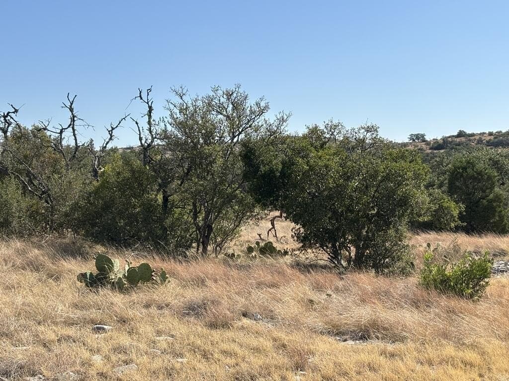 29.78 acres in Edwards County - photo 18