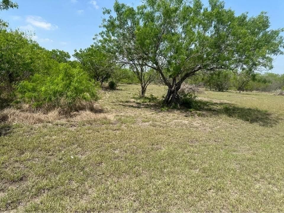 2 acres in Texas County