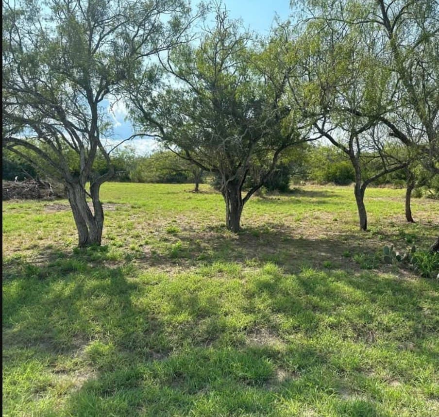 2 acres in Texas County gallery image 2