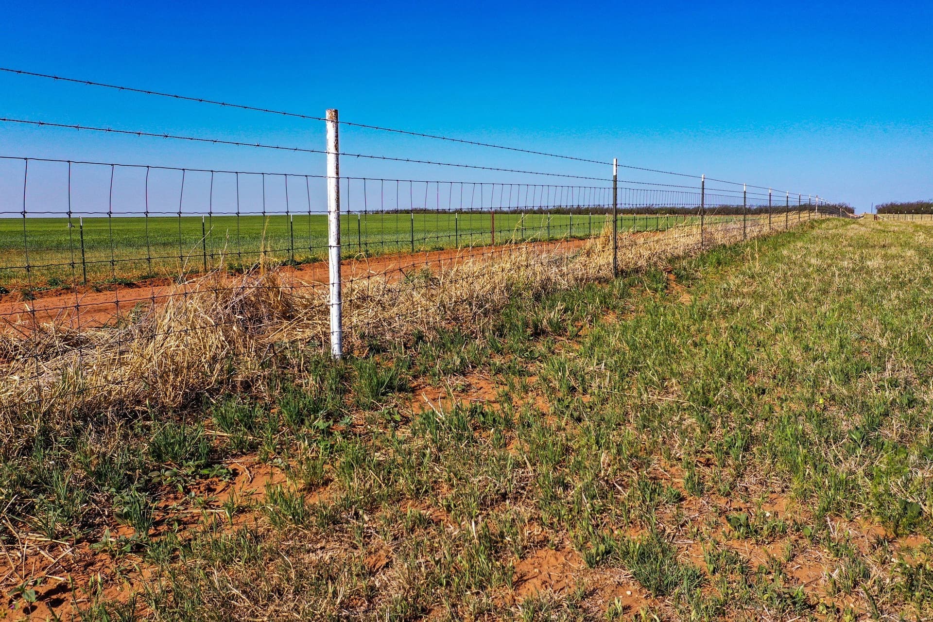 201.7 acres in Haskell County - photo 17